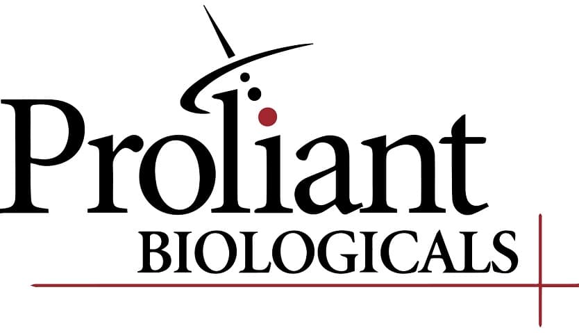 牛血清白蛋白，巯基阻断